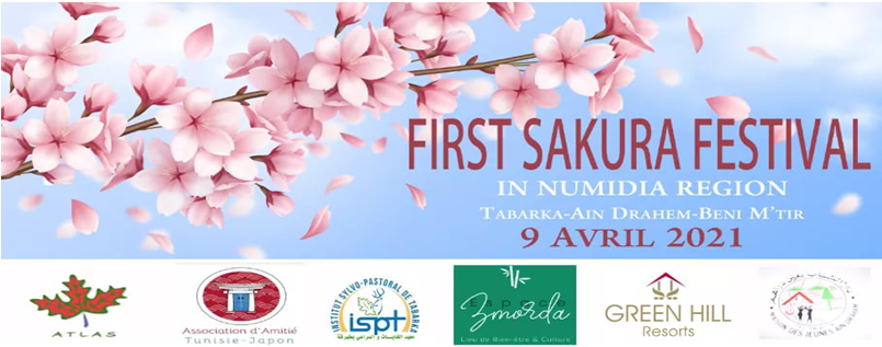 Sakura Festival